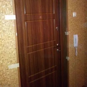 Двери металлические входные Борисов, Жодино